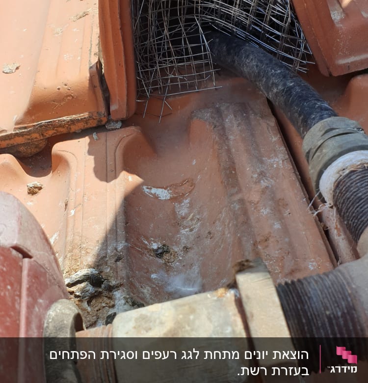 רשת מתכת מותקנת על גג רעפים למניעת כניסת יונים